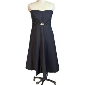 Erin Fetherston for Anthropologie Bette Strapless Midi Dress in Black Size 12
